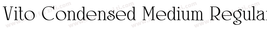 Vito Condensed Medium Regular字体转换
